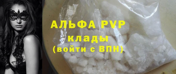 винт Верея
