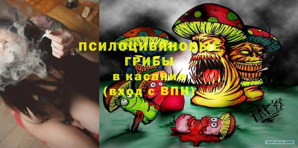 винт Верея