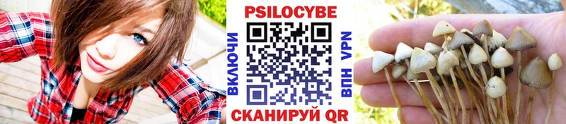 Галлюциногенные грибы GOLDEN TEACHER  Дмитриев 
